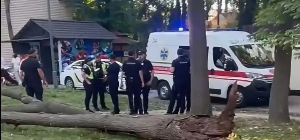 Дерево впало на жінку у Вінниці: що варто знати