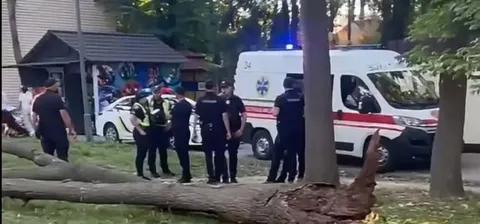 Дерево впало на жінку у Вінниці: що варто знати