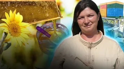 Медовий сомельє: як родина з Миколаївщини перетворила пасіку на мистецтво