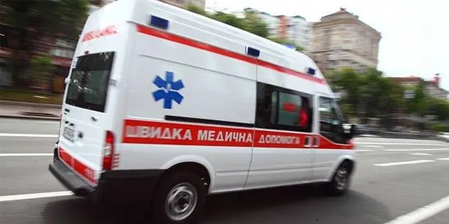 Укус тварини на Рахівщині: що робити, якщо це сталося з вами