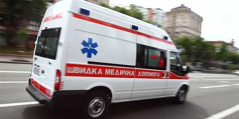 Укус тварини на Рахівщині: що робити, якщо це сталося з вами