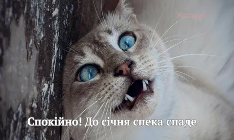 Прощавай, спеко: як з гумором зустріти осінь