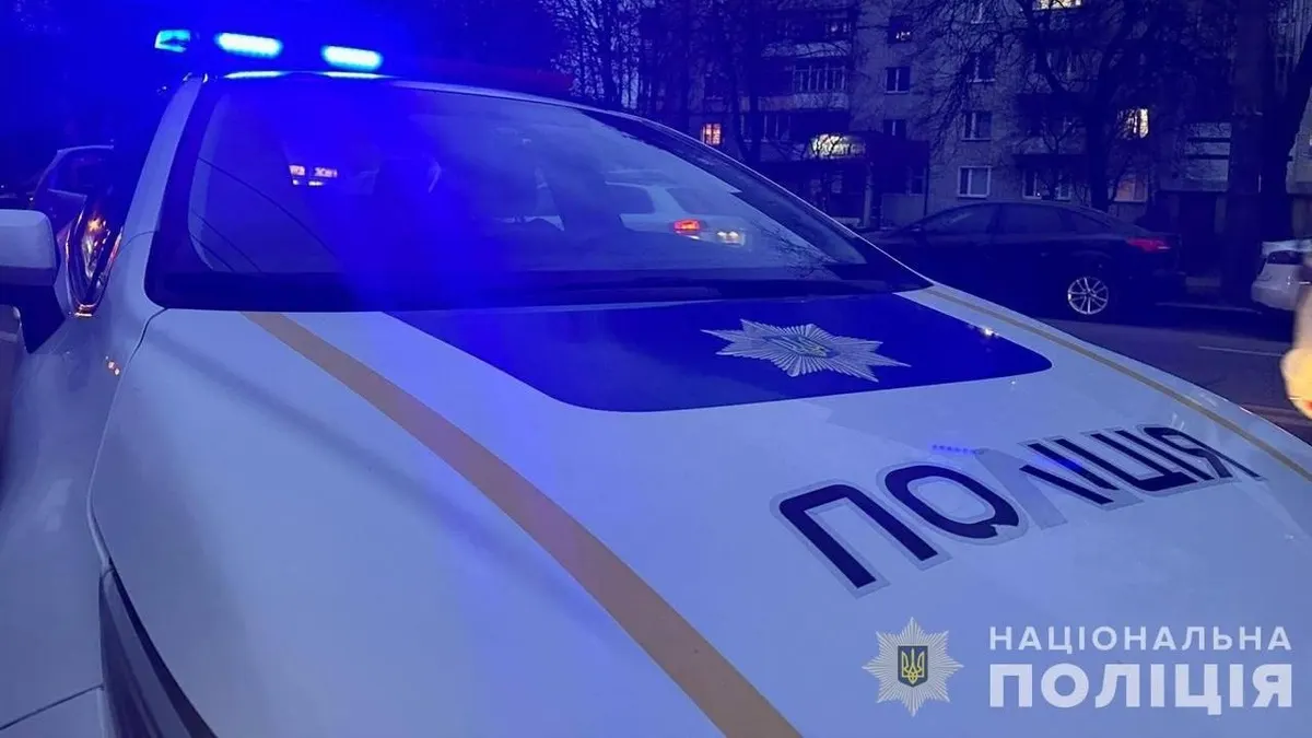 Як захистити домашнього улюбленця: історія про Ельзу та важливі поради
