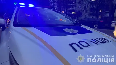 Як захистити домашнього улюбленця: історія про Ельзу та важливі поради