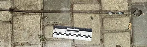 У Миколаєві жінку взяли під варту через удар шампуром: деталі трагедії
