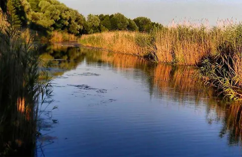 Як уникнути трагедії на воді: поради для безпечного відпочинку