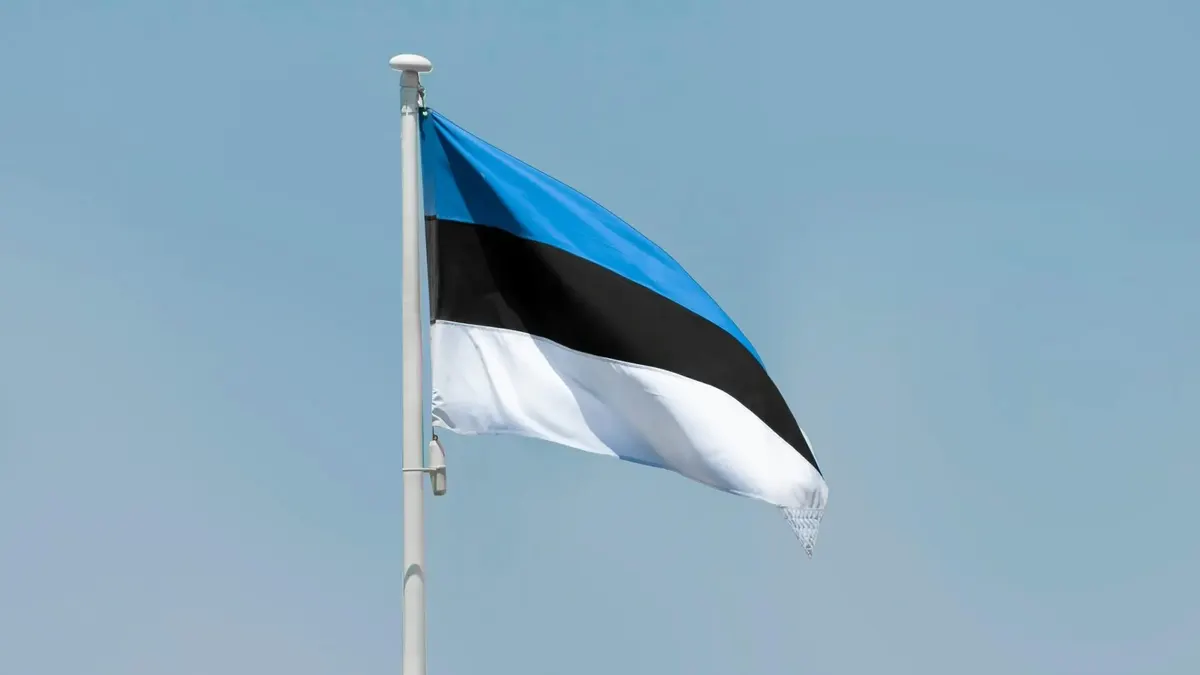 Як Естонія допоможе українцям пережити зиму: 340 тисяч євро на тепло