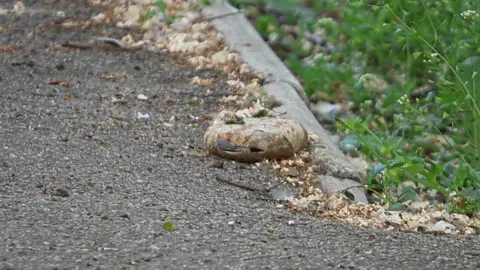 Вибухівка на вулиці: як уберегтися та що робити при знахідці
