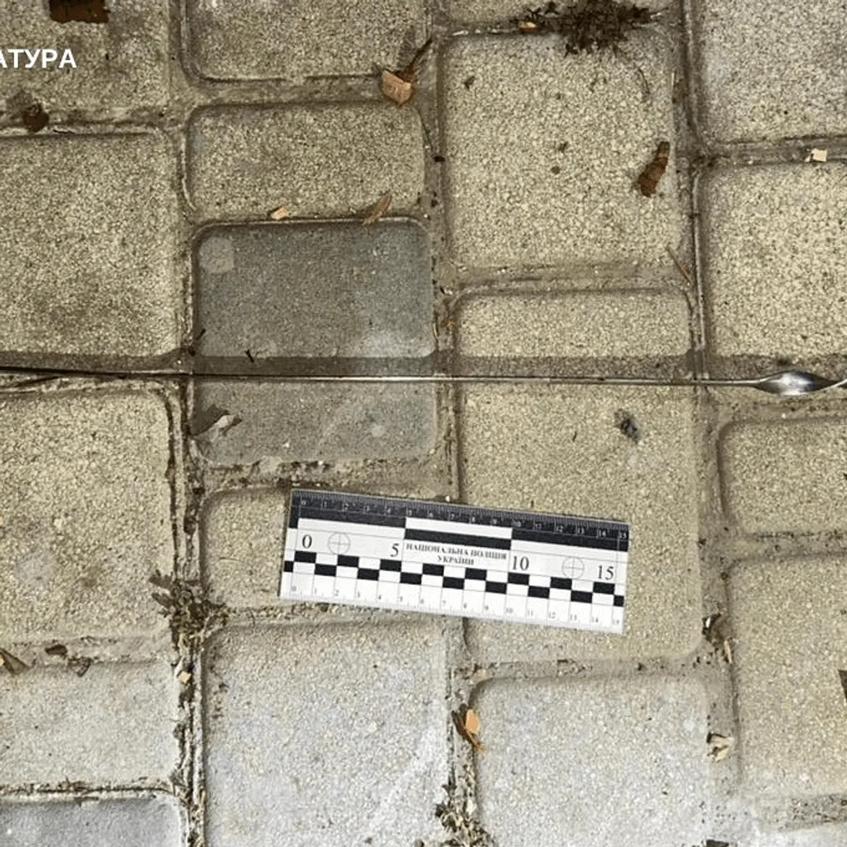 Сварка завершилася трагедією: жінка вдарила знайомого шампуром