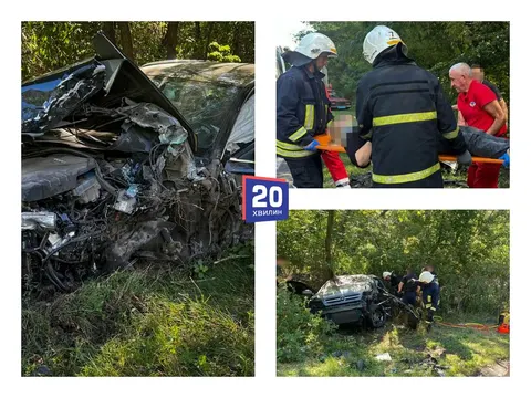 Смертельна ДТП біля Петрика: що варто знати та як діяти водіям