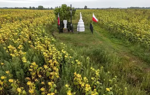 55 жертв Волинської трагедії знайшли упокій на Волині: що варто знати